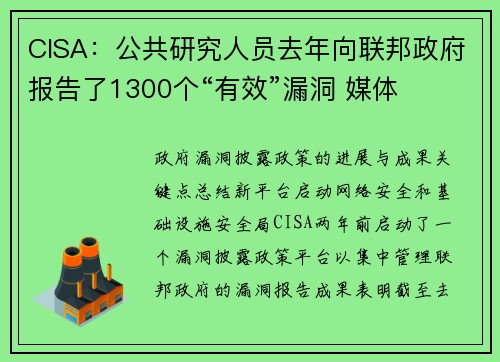 CISA：公共研究人员去年向联邦政府报告了1300个“有效”漏洞 媒体