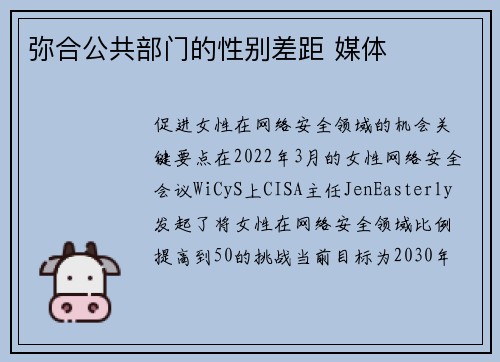 弥合公共部门的性别差距 媒体